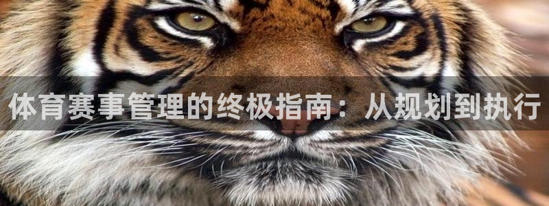 必一体育秀给网：体育