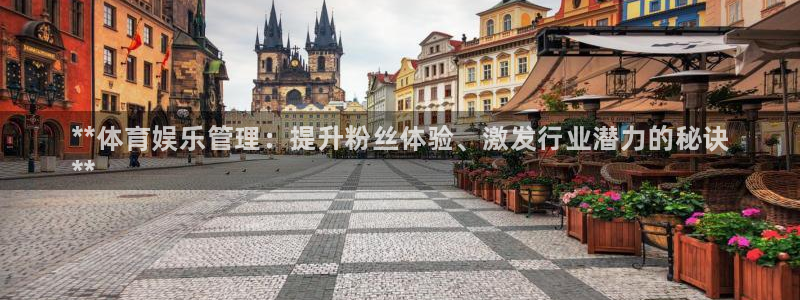 必一体育最新官网入口