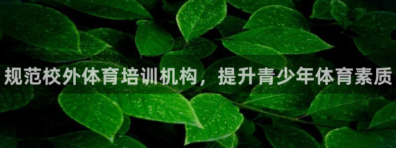 必一运动验证码：规范校外体育培训机构，提升青少年体育素质