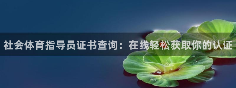 必一体育皮尔斯：社会体育指导员证书查询：在线轻松获取你的认证