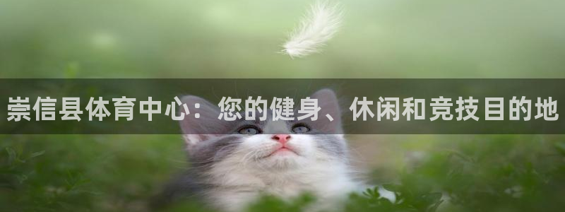 必一体育下载app下