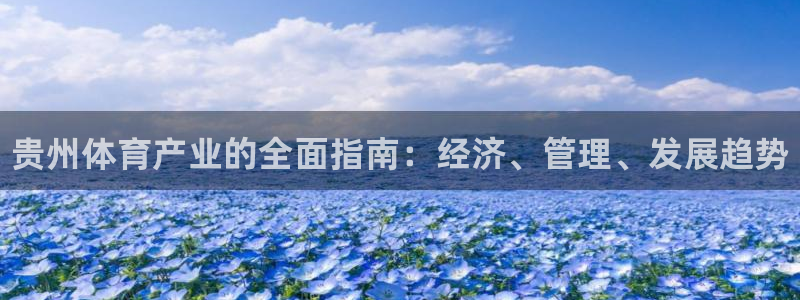 必一体育运动app：贵州体育产业的全面指南：经济、管理、发展