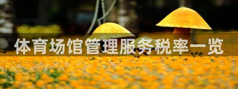 必一运动体：体育场馆管理服务税率一览